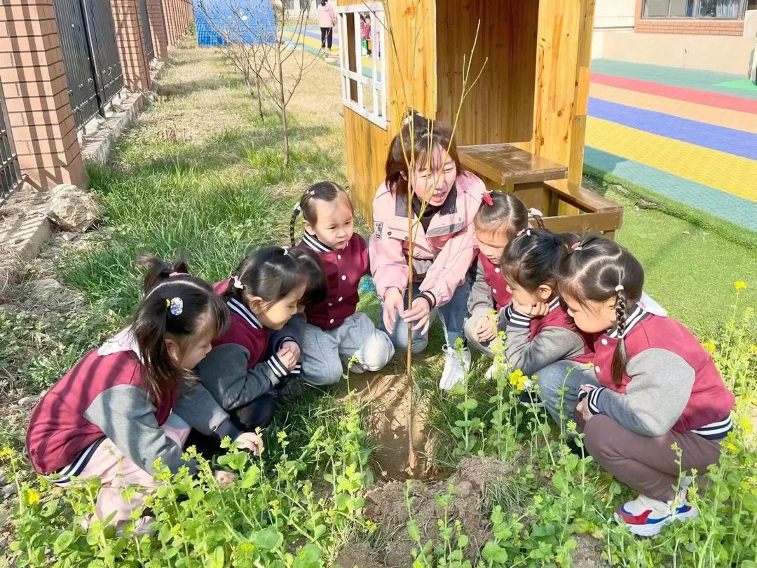 不負春光，“植”得期待|培文幼兒園植樹節活動